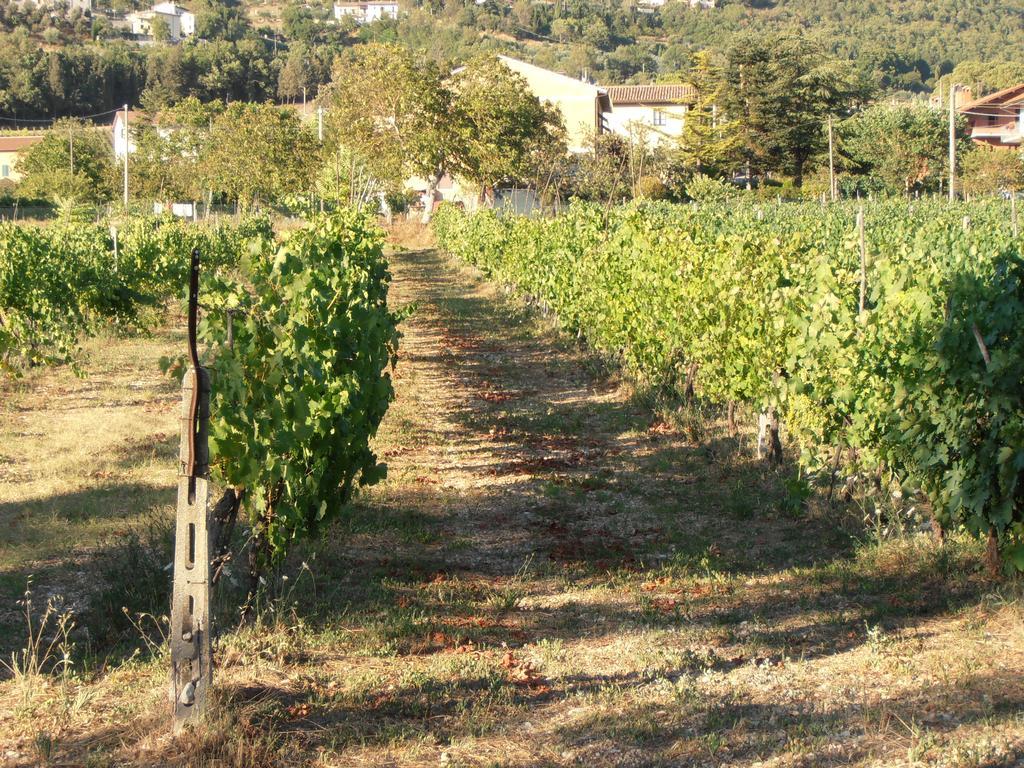 Agriturismo Ponte Di Riocchio Gubbio Eksteriør bilde